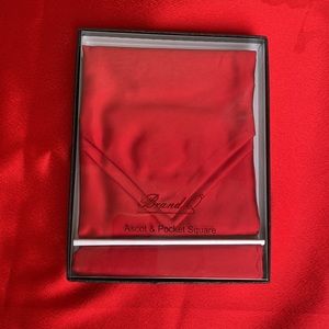 NWT Ascot and Pocket Square set